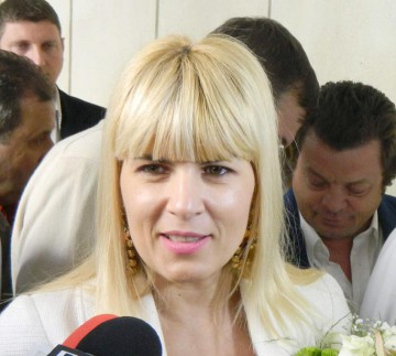 Udrea: Iohannis să cheme partidele la negocieri